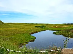 L'aboiteau Beach