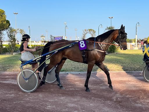 Hippodrome de la Côte d'Azur