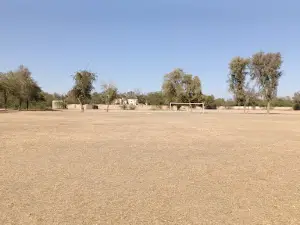 College Sports Ground