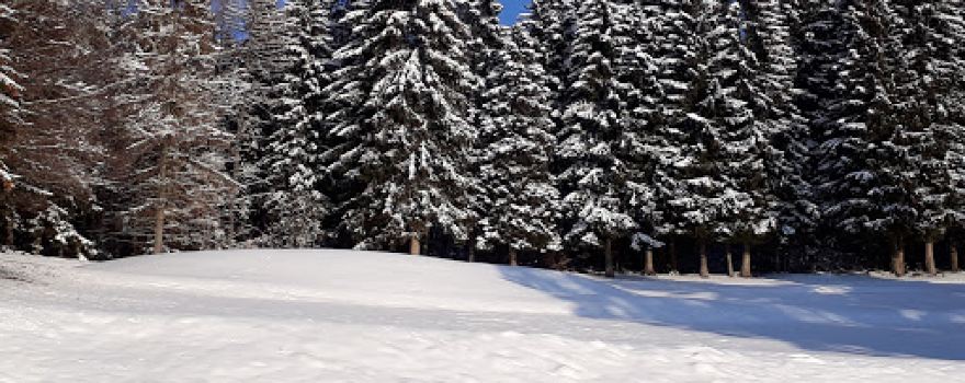 Golf Club Folgaria