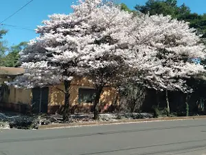 Plaza San Roque de Santa Cruz