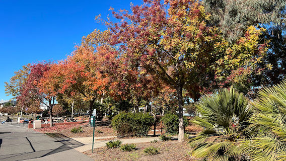 Contempo Park