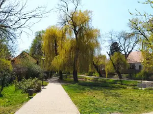 Margitsziget