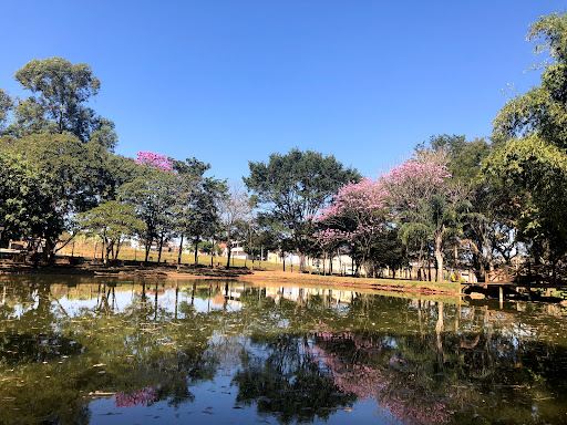 Municipal Park Fonte Nova
