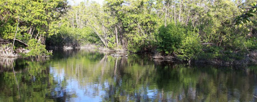 Ma Koté Mangrove Interpretation Center