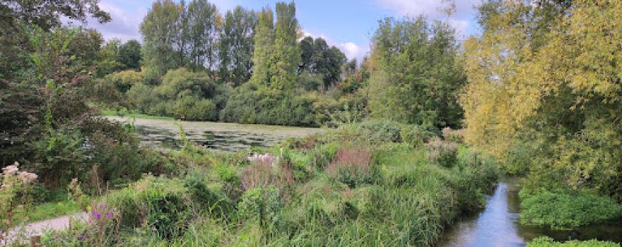 Rooksbury Mill Local Nature Reserve Barlows Lane Car Park