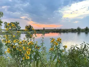 Roos Pond