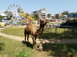 Chaugan Ground