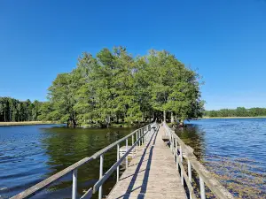 Bridvaišis lake recreational trail