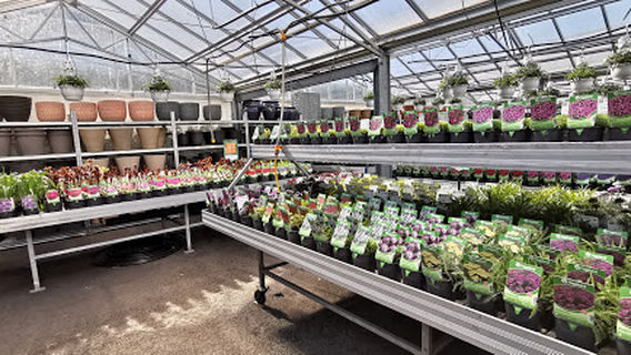 Hageland Lillestrøm