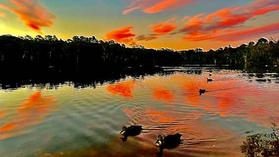 Wentworth Falls
