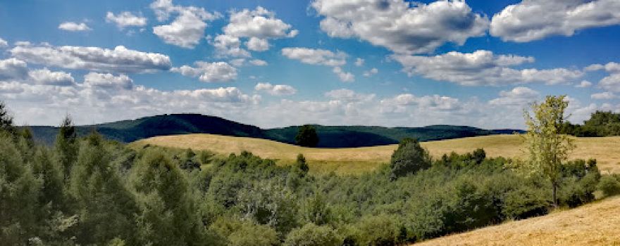 Gazdoráň