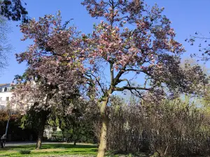 Parc Salvator