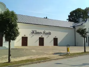 Kino Świt