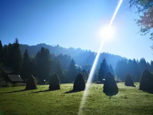 Camping la Danut