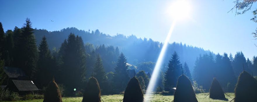 Camping la Danut