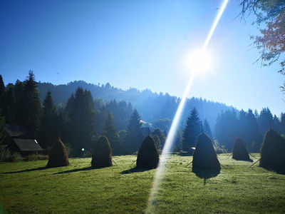 Camping la Danut