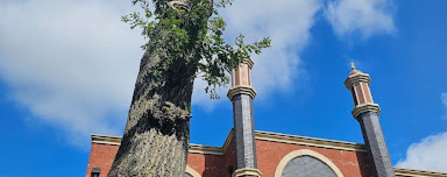 Masjid E Irfan