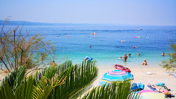 Podgora