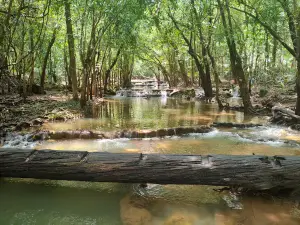 อุทยานแห่งชาติน้ำตกสี่ขีด