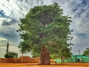 Africa terrain