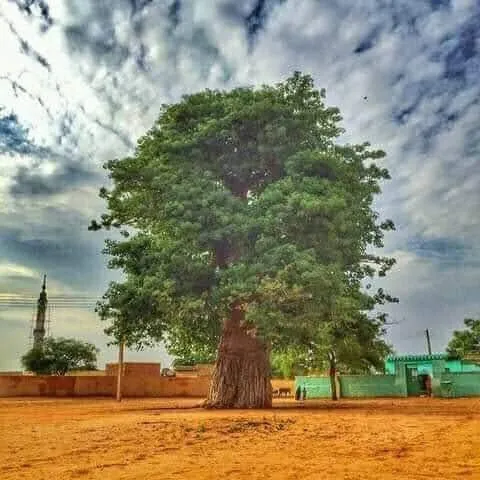 Africa terrain