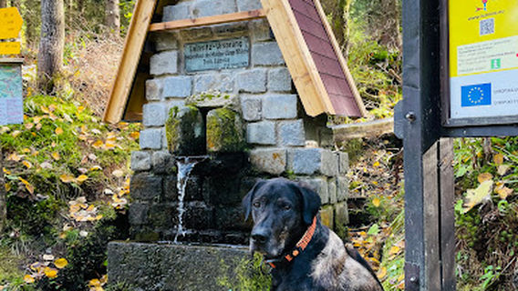 Gemeinde Bad Grosspertholz