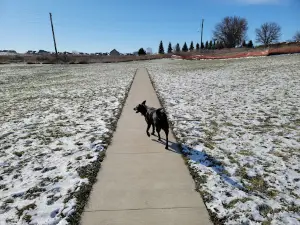 Waverly Dog Park