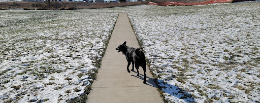 Waverly Dog Park