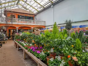 Gartencenter Meckelburg