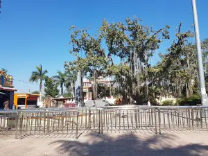 Lord Mahadev mandir Maralak