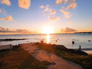 Miami Beach