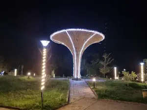 ALI BIRRA PARK