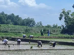 Kebun Percobaan Taman Bogo
