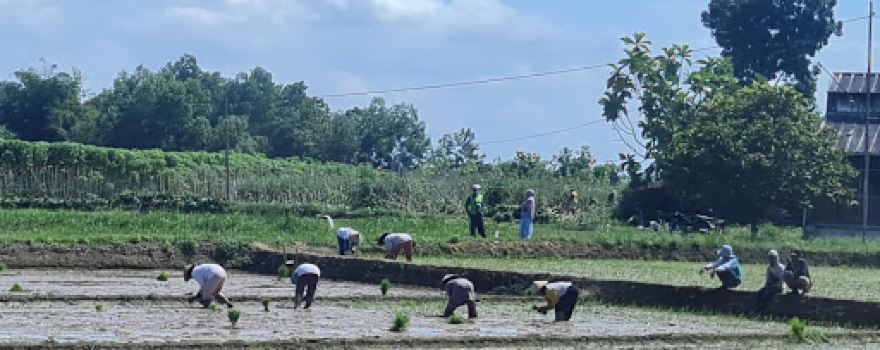 Kebun Percobaan Taman Bogo