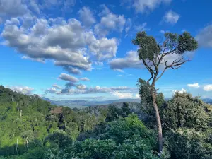 The Rock Viewpoint