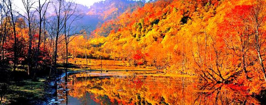 Erlangshan Forest Park