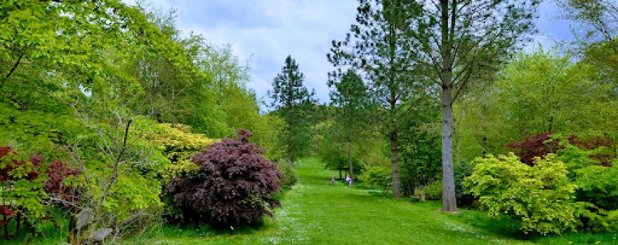 Bodenham Arboretum