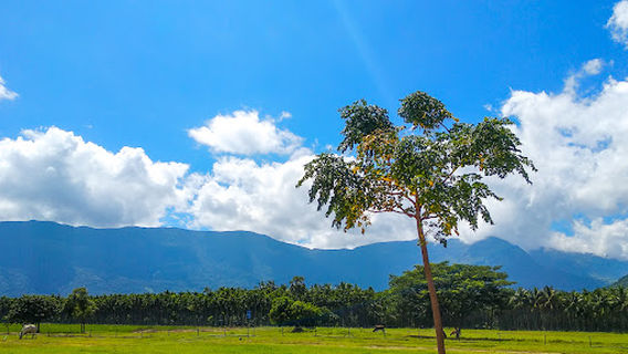 Isha Yoga Center Coimbatore