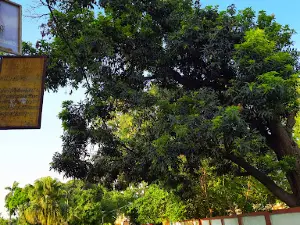 Sarojini Vatika Park