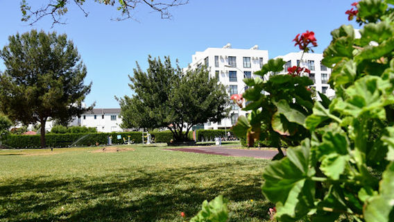 Barış Manço Park