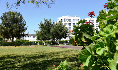 Barış Manço Park