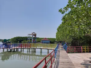 Dermaga Taman Mangrove Pandansari