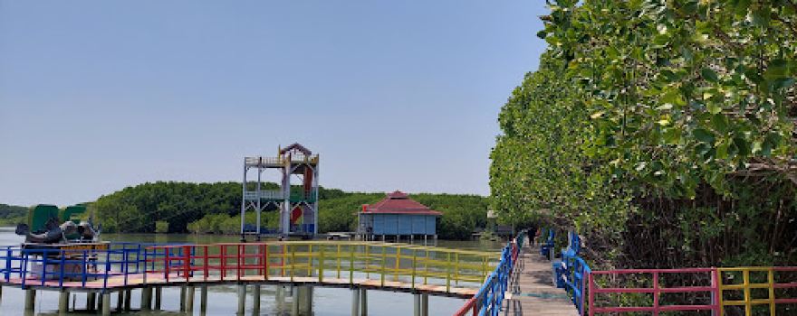 Dermaga Taman Mangrove Pandansari