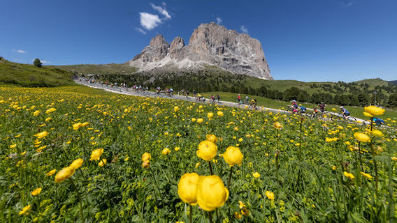 Selva di Val Gardena