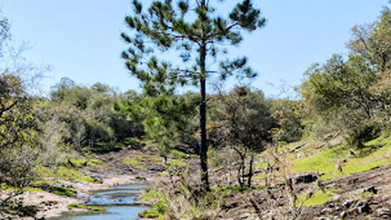 Puntas del Cuñapirú