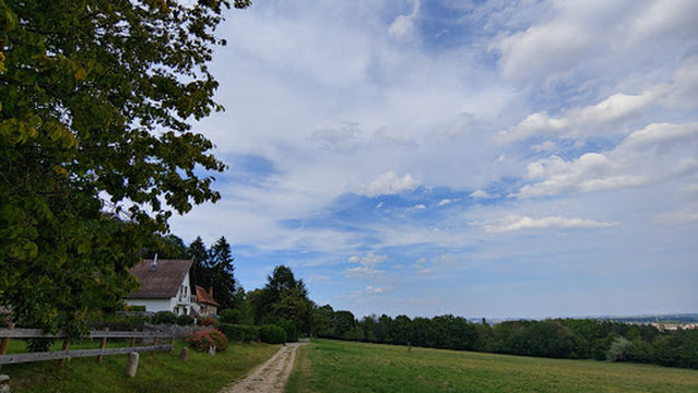 Le Haut Barr - la Hexentisch - La Tour du Brotsch - La Schaeferplatz