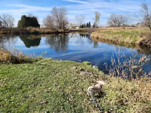 Token Creek County Park