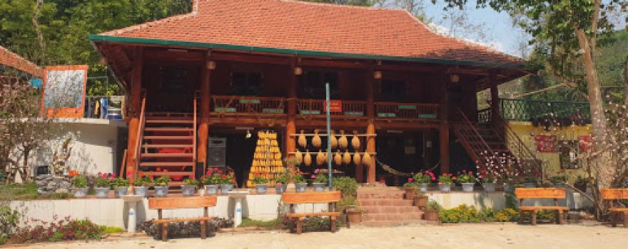 Khu Du Lịch Rừng Vàng