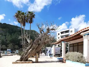 Cala de Sant Vicent